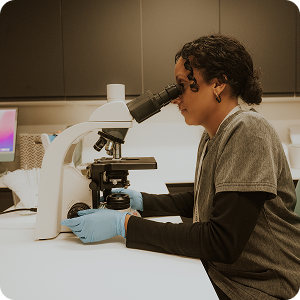 Semen Analysis Semen Analysis