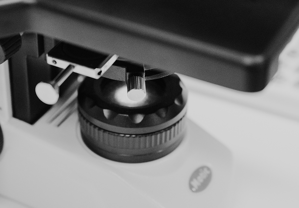 timing-matters Microscope